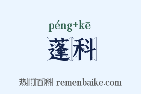 蓬科是什么意思的图片